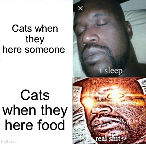 This do be true tho | Cats when they here someone; Cats when they here food | image tagged in memes,sleeping shaq,cats | made w/ Imgflip meme maker