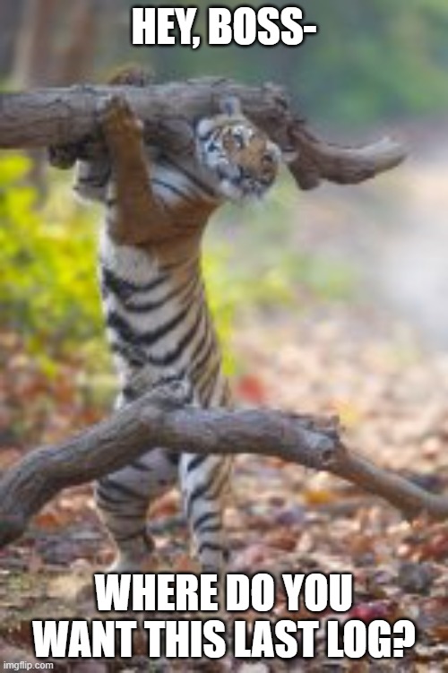 Tiger Laborer | HEY, BOSS-; WHERE DO YOU WANT THIS LAST LOG? | image tagged in tiger,work,boss,tree,construction worker | made w/ Imgflip meme maker