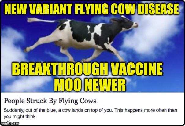 Moo Newer Vaccine on its way | NEW VARIANT FLYING COW DISEASE; BREAKTHROUGH VACCINE  
MOO NEWER | image tagged in vaccines,bill gates,fraud,scammers,hoax,covidiots | made w/ Imgflip meme maker