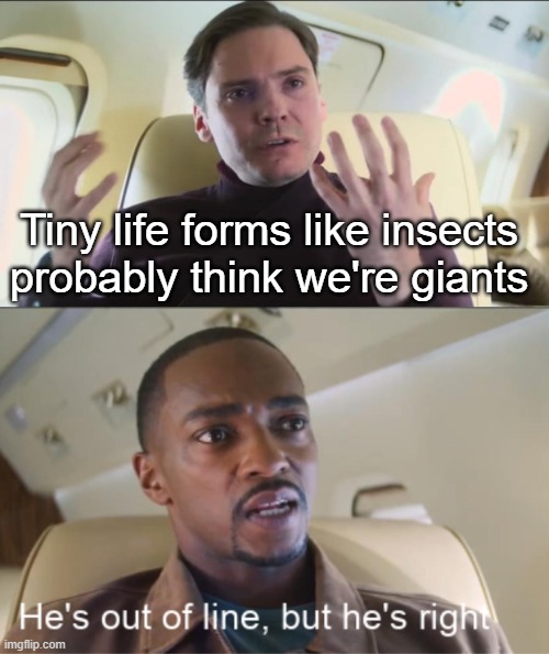 He's out of line but he's right | Tiny life forms like insects probably think we're giants | image tagged in he's out of line but he's right | made w/ Imgflip meme maker