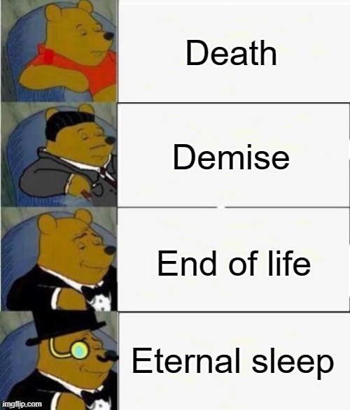 Tuxedo Winnie the Pooh 4 panel | Death; Demise; End of life; Eternal sleep | image tagged in tuxedo winnie the pooh 4 panel | made w/ Imgflip meme maker