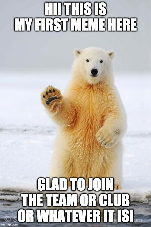 hi! | HI! THIS IS MY FIRST MEME HERE; GLAD TO JOIN THE TEAM OR CLUB OR WHATEVER IT IS! | image tagged in hello polar bear | made w/ Imgflip meme maker