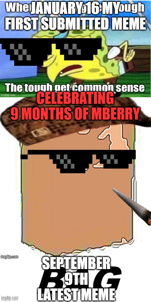9 MONTHS OF MBERRY | JANUARY 16 MY FIRST SUBMITTED MEME; CELEBRATING 9 MONTHS OF MBERRY; SEPTEMBER 9TH LATEST MEME | image tagged in memes,celebration | made w/ Imgflip meme maker