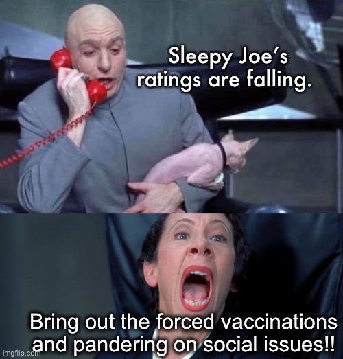 “It’s not about freedom” J.B. | Sleepy Joe’s ratings are falling. Bring out the forced vaccinations and pandering on social issues!! | image tagged in dr evil and frau,joe biden,politics lol | made w/ Imgflip meme maker