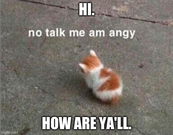 no talk me am angy | HI. HOW ARE YA'LL. | image tagged in no talk me am angy | made w/ Imgflip meme maker