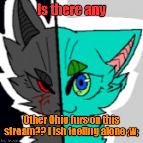 **furever aloneeee** | Is there any; Other Ohio furs on this stream?? I ish feeling alone ;w; | image tagged in retrofurry announcement template,furry | made w/ Imgflip meme maker