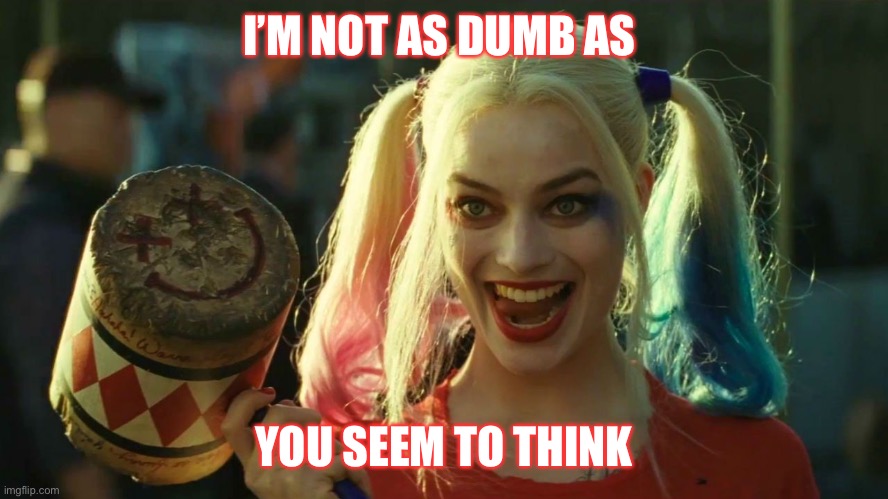 Harley Quinn hammer | I’M NOT AS DUMB AS; YOU SEEM TO THINK | image tagged in harley quinn hammer | made w/ Imgflip meme maker