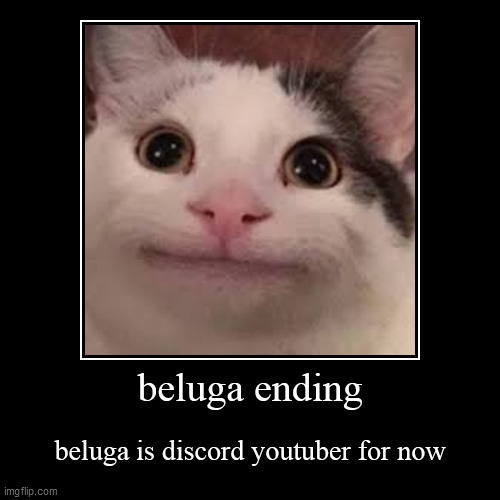 All Beluga Discord Pfp Download All Beluga Characters - vrogue.co