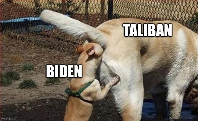 Biden admin sucks up to “professional” Taliban | TALIBAN; BIDEN | image tagged in little dog sniffing big dog's butt,taliban,biden admin calls professional | made w/ Imgflip meme maker