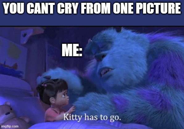 Pain | YOU CANT CRY FROM ONE PICTURE; ME: | image tagged in pain,sad,sully | made w/ Imgflip meme maker