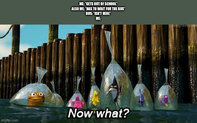 Now What? | ME: *GETS OUT OF SCHOOL*
ALSO ME: *HAS TO WAIT FOR THE BUS*
BUS: *ISN'T HERE*
ME: | image tagged in now what | made w/ Imgflip meme maker