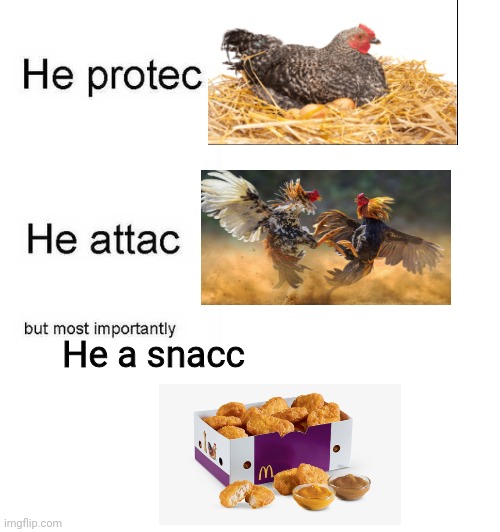 He protec he attac but most importantly |  He a snacc | image tagged in he protec he attac but most importantly | made w/ Imgflip meme maker