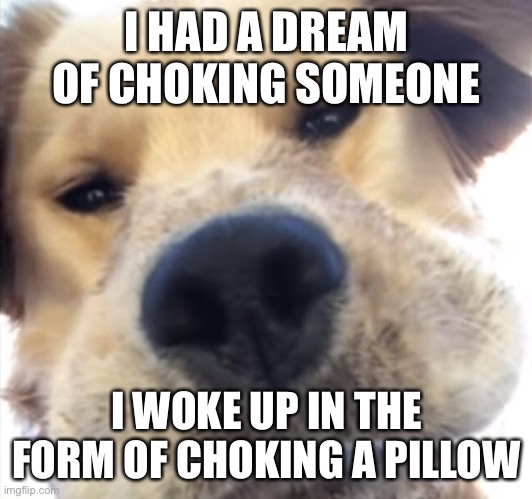Doggo bruh | I HAD A DREAM OF CHOKING SOMEONE; I WOKE UP IN THE FORM OF CHOKING A PILLOW | image tagged in doggo bruh | made w/ Imgflip meme maker