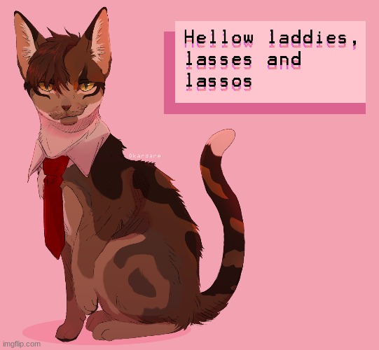 Hello Laddies, Lasses, and Lassos, Welcome to the Click, I am now a cat. (not mine) | image tagged in cat,the click | made w/ Imgflip meme maker