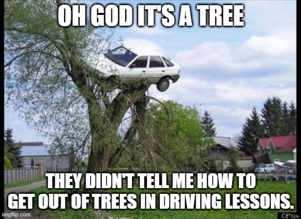 Secure Parking | OH GOD IT'S A TREE; THEY DIDN'T TELL ME HOW TO GET OUT OF TREES IN DRIVING LESSONS. | image tagged in memes,secure parking | made w/ Imgflip meme maker