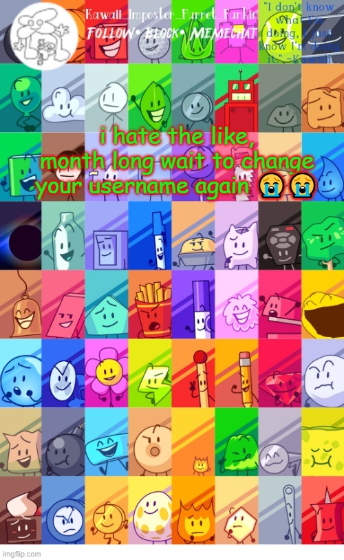 petition to get that feature offa Imgflip | i hate the like, month long wait to change your username again 😭😭 | image tagged in thx the-goth-chicken fur the temp kawaii's bfdi announcement | made w/ Imgflip meme maker