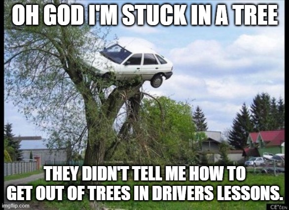 Secure Parking Meme | OH GOD I'M STUCK IN A TREE; THEY DIDN'T TELL ME HOW TO GET OUT OF TREES IN DRIVERS LESSONS. | image tagged in memes,secure parking | made w/ Imgflip meme maker