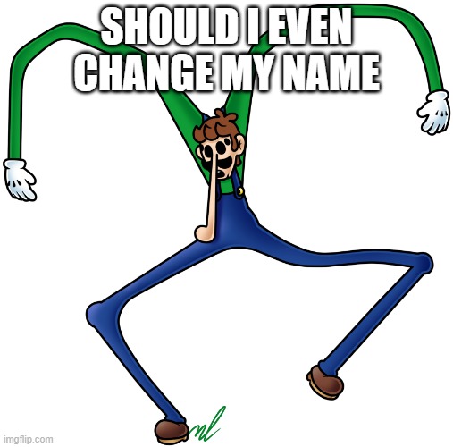 virus luigi | SHOULD I EVEN CHANGE MY NAME | image tagged in virus luigi | made w/ Imgflip meme maker