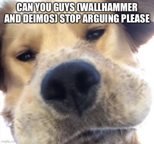 Doggo bruh | CAN YOU GUYS (WALLHAMMER AND DEIMOS) STOP ARGUING PLEASE | image tagged in doggo bruh | made w/ Imgflip meme maker