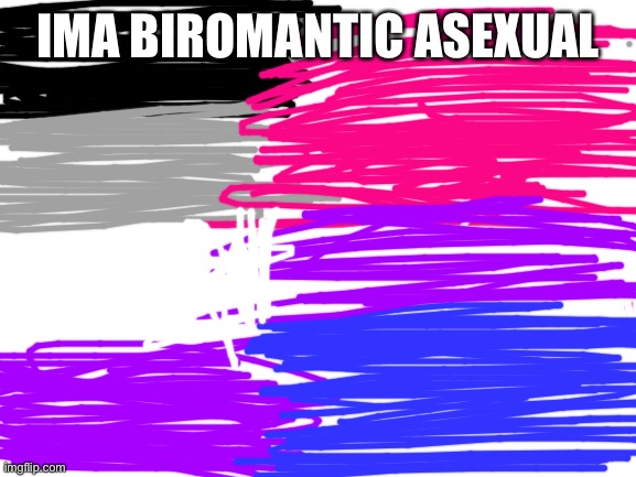 :> | IMA BIROMANTIC ASEXUAL | image tagged in blank white template | made w/ Imgflip meme maker