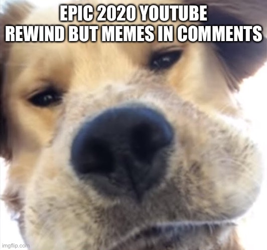 Doggo bruh | EPIC 2020 YOUTUBE REWIND BUT MEMES IN COMMENTS | image tagged in doggo bruh | made w/ Imgflip meme maker