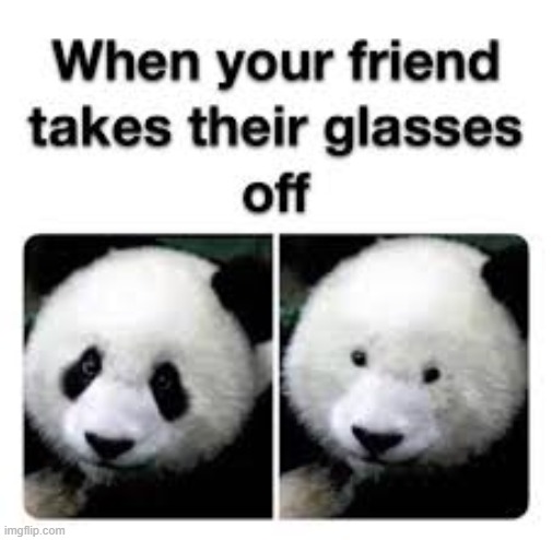 PANda | made w/ Imgflip meme maker