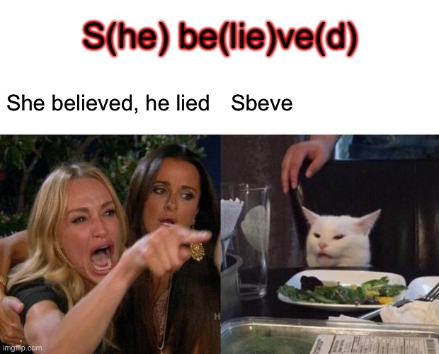 Woman Yelling At Cat | S(he) be(lie)ve(d); She believed, he lied; Sbeve | image tagged in memes,woman yelling at cat | made w/ Imgflip meme maker