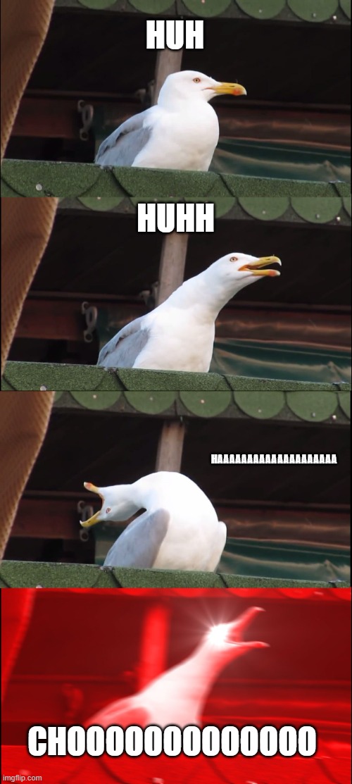 Cover your nose and mouth | HUH; HUHH; HAAAAAAAAAAAAAAAAAAAA; CHOOOOOOOOOOOOO | image tagged in memes,inhaling seagull | made w/ Imgflip meme maker