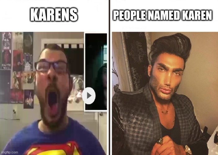 Don't Hate On People Named Karen | KARENS; PEOPLE NAMED KAREN | image tagged in average fan vs average enjoyer | made w/ Imgflip meme maker
