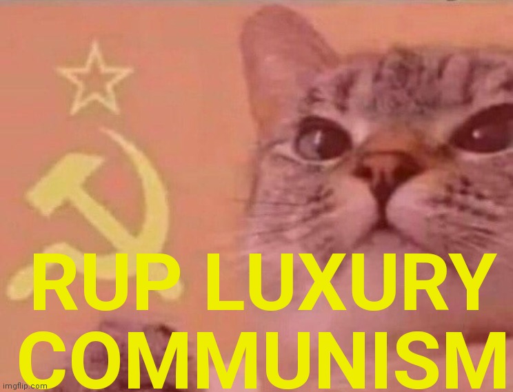 Communist cat | RUP LUXURY COMMUNISM | image tagged in communist cat | made w/ Imgflip meme maker