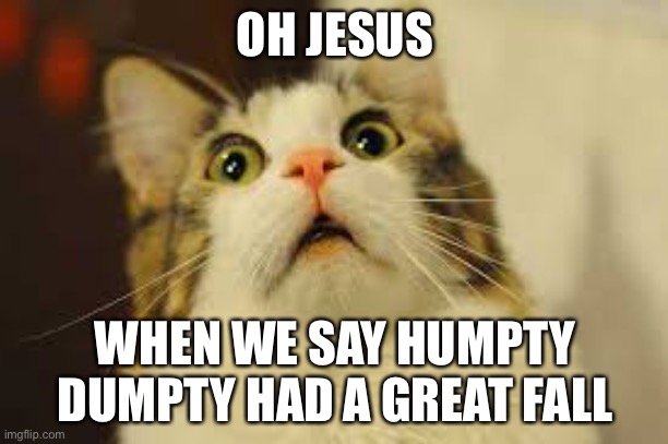 We had a great fall | OH JESUS; WHEN WE SAY HUMPTY DUMPTY HAD A GREAT FALL | image tagged in surpised cat | made w/ Imgflip meme maker