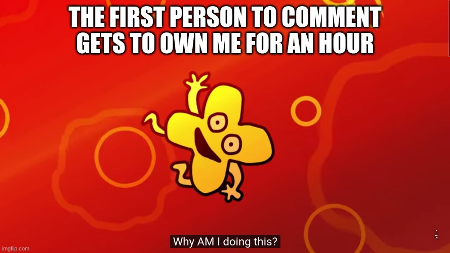 oh no.... | THE FIRST PERSON TO COMMENT GETS TO OWN ME FOR AN HOUR; IF I LIKE WHAT YOU DO I'LL KEEP GOING | image tagged in why am i doing this x bfb | made w/ Imgflip meme maker