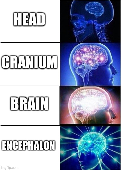 Expanding Brain | HEAD; CRANIUM; BRAIN; ENCEPHALON | image tagged in memes,expanding brain | made w/ Imgflip meme maker