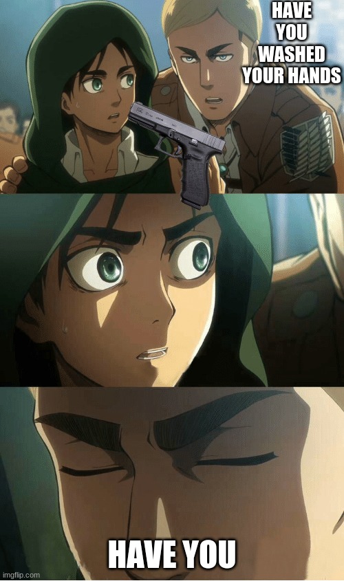 Erwin AOT |  HAVE YOU WASHED YOUR HANDS; HAVE YOU | image tagged in erwin aot | made w/ Imgflip meme maker