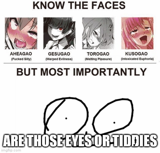 guess what are those | ARE THOSE EYES OR TIDDIES | image tagged in types of gao | made w/ Imgflip meme maker