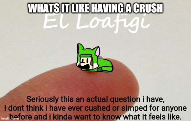 More proof that i will forever be alone | WHATS IT LIKE HAVING A CRUSH; Seriously this an actual question i have, i dont think i have ever cushed or simped for anyone before and i kinda want to know what it feels like. | image tagged in el loafigi | made w/ Imgflip meme maker