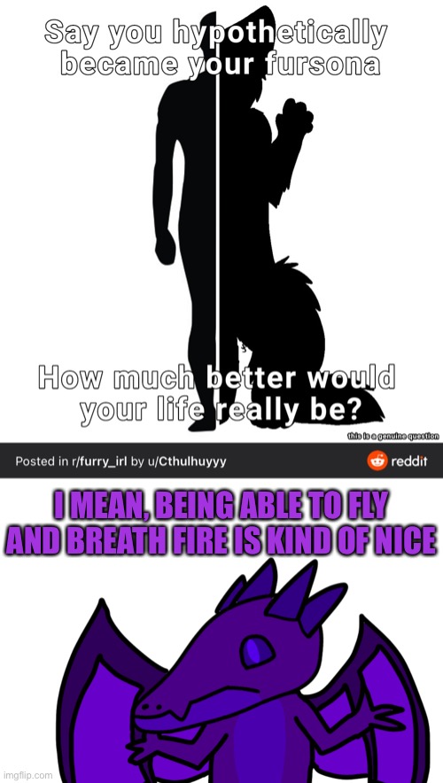 Being an aquatic Boi is also noice since I could breath underwater then but rn my main is a dragon | I MEAN, BEING ABLE TO FLY AND BREATH FIRE IS KIND OF NICE | made w/ Imgflip meme maker