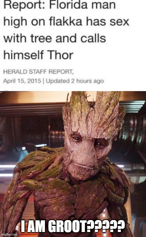 He Did What to the What? | I AM GROOT????? | image tagged in groot guardians of the galaxy | made w/ Imgflip meme maker