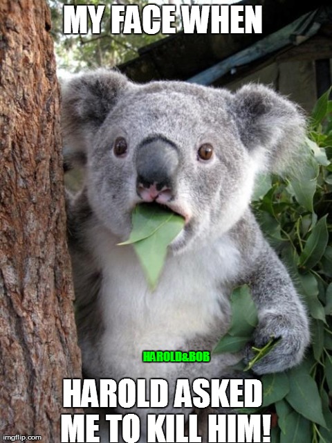 Surprised Koala | MY FACE WHEN  HAROLD ASKED ME TO KILL HIM! HAROLD&BOB | image tagged in memes,surprised koala | made w/ Imgflip meme maker