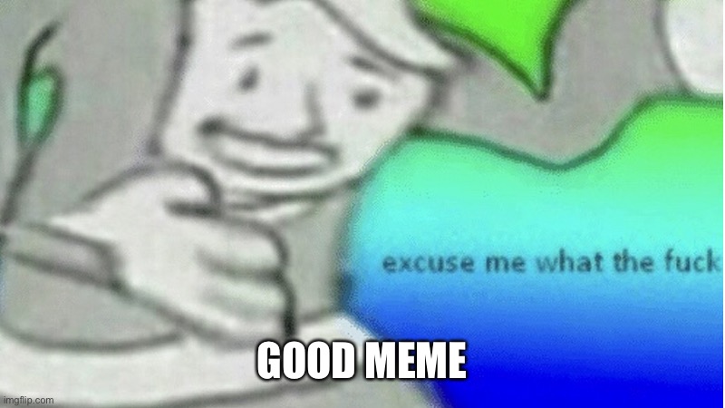 Excuse me what the f*ck | GOOD MEME | image tagged in excuse me what the f ck | made w/ Imgflip meme maker