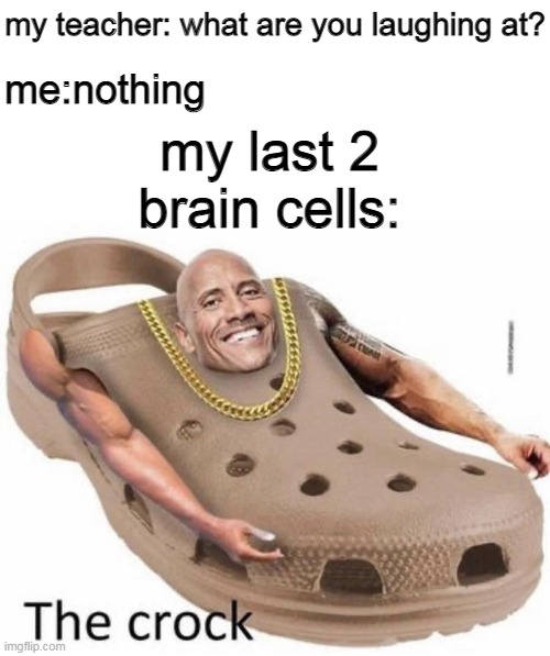 the crock |  me:nothing; my teacher: what are you laughing at? my last 2 brain cells: | image tagged in the rock,memes,actors | made w/ Imgflip meme maker