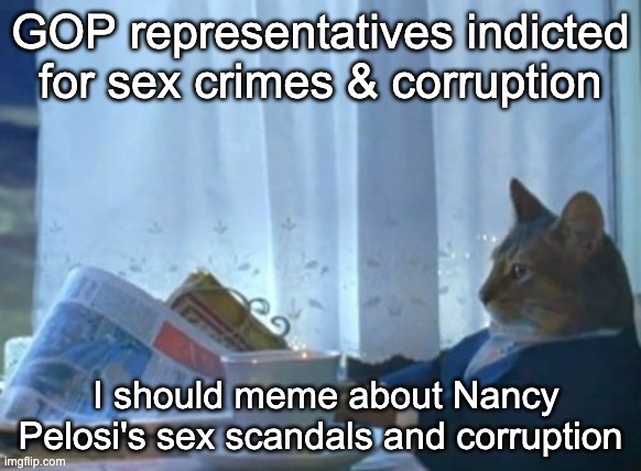 I Should Buy A Boat Cat Meme | GOP representatives indicted for sex crimes & corruption I should meme about Nancy Pelosi's sex scandals and corruption | image tagged in memes,i should buy a boat cat | made w/ Imgflip meme maker