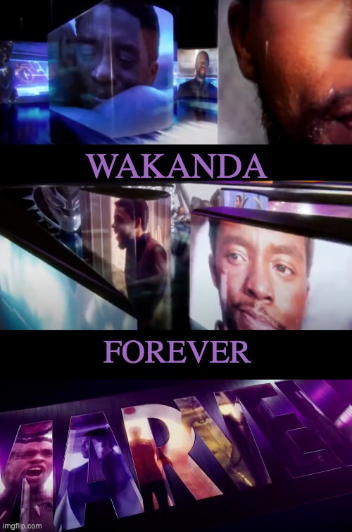 . . . Forever | WAKANDA; FOREVER | image tagged in mcu,black panther,movie,marvel,logo | made w/ Imgflip meme maker