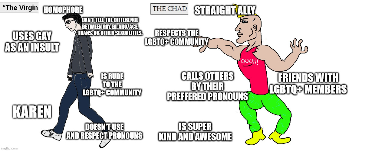 Virgin and Chad | HOMOPHOBE STRAIGHT ALLY USES GAY AS AN INSULT IS RUDE TO THE LGBTQ+ COMMUNITY KAREN RESPECTS THE LGBTQ+ COMMUNITY FRIENDS WITH LGBTQ+ MEMBER | image tagged in virgin and chad | made w/ Imgflip meme maker