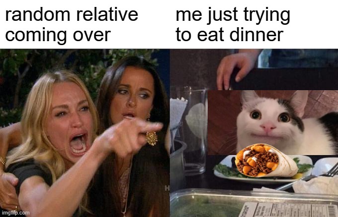 i think im running out of ideas | random relative coming over; me just trying to eat dinner | image tagged in memes,woman yelling at cat | made w/ Imgflip meme maker