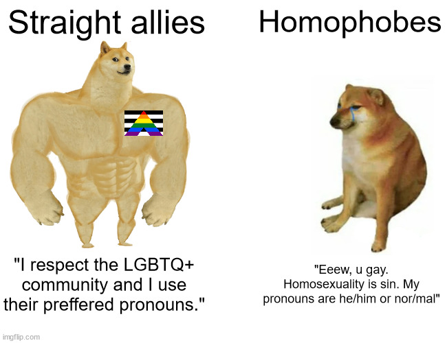 Buff Doge vs. Cheems | Straight allies; Homophobes; "I respect the LGBTQ+ community and I use their preffered pronouns."; "Eeew, u gay. Homosexuality is sin. My pronouns are he/him or nor/mal" | image tagged in memes,buff doge vs cheems | made w/ Imgflip meme maker