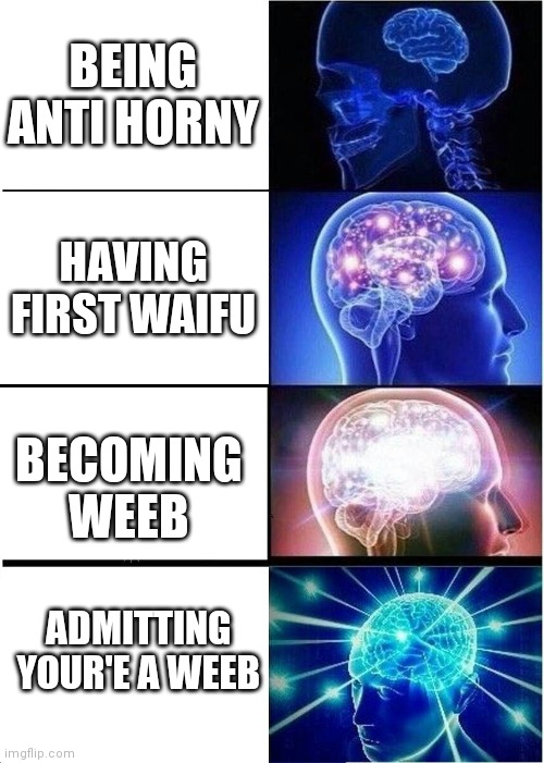 reverse evolution | BEING ANTI HORNY; HAVING FIRST WAIFU; BECOMING WEEB; ADMITTING YOUR'E A WEEB | image tagged in memes,expanding brain | made w/ Imgflip meme maker