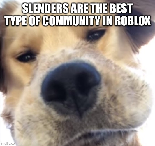 Doggo bruh | SLENDERS ARE THE BEST TYPE OF COMMUNITY IN ROBLOX | image tagged in doggo bruh,we do a little trolling | made w/ Imgflip meme maker