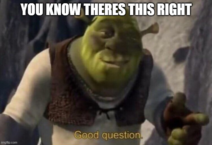 Shrek good question | YOU KNOW THERES THIS RIGHT | image tagged in shrek good question | made w/ Imgflip meme maker