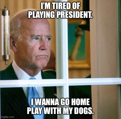Sad Joe Biden |  I’M TIRED OF PLAYING PRESIDENT. I WANNA GO HOME PLAY WITH MY DOGS. | image tagged in sad joe biden | made w/ Imgflip meme maker